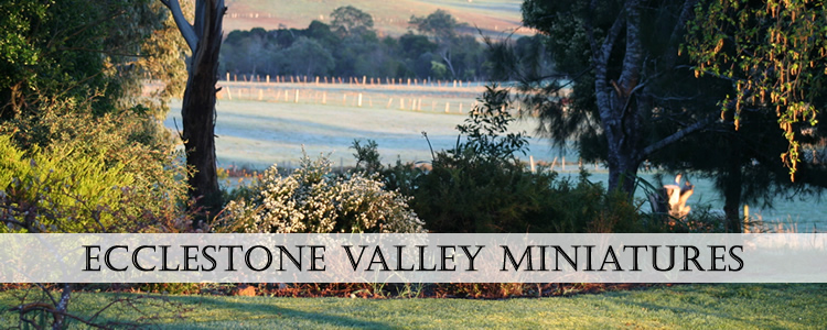 Ecclestone Valley Logo